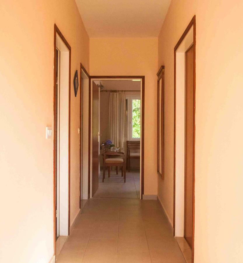Apartment Jelena 몰루나트 외부 사진